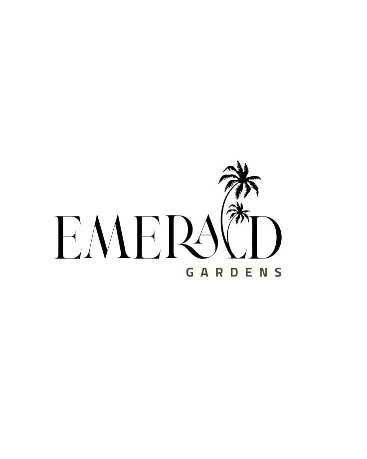 whatsapp image 2025 12 16 at 6.29.53 pm